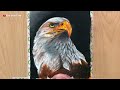 Majestic Eagle Drawing Step by Step / Oil Pastel Painting Tutorial