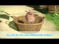 TaDaBoom Deutsch 🎵 Das ABC Lied 🔤👩‍🏫 Nursery rhymes 🌟 TaDaBoom Deutsch 🎤 Mascha und der Bär