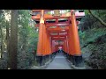 🌟Kyoto's Fushimi Inari AMSR Walk | Full Loop Journey with DJI Osmo Pocket 🇯🇵 | Japan Travel Delight!