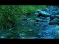 Water sounds | Cool stream sounds for sleep, study, Meditation, Healing, Relax