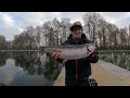 Ein Erfolgreicher Tag bei Wild ( Holland ) ( Trout Area Fishing )