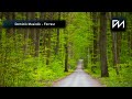 Dominik Musiolik - Forrest