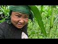 यो बर्खे झरीमा काम गर्न पनि सारो आपत छ बाई\Millet farming in village\Susmita Gharti\