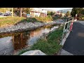 Salmon spawning on Penticton creek 2023