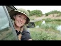 Elephants block the road for 1 hour! Incredible buffalo sighting Shipandani hide | KNP Ep12