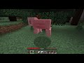 Java Minecraft: My first day in survival