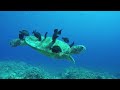2 hours 4K Aquarium for Relaxation Underwater Footage Colorful Sea Life-Water Sounds For Relaxation