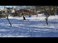 young alfie playing in the snow