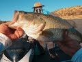 Big bass / High winds / setting up on humps