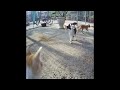 😸🤣 Funniest Cats and Dogs Videos 😘😘 Best Funny Animal Videos 2024 # 25