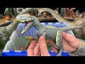 ALL Ornithischian Dinosaurs in ONE | Amazing Dinosaurs