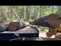 Pulling Over a Douglas Fir Tree With Farmi 501 Tractor Winch Part 2