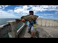 Skyway FISHING Pier Gag Grouper Fever