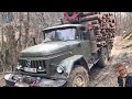 50 EXTREME Dangerous Biggest Wood Logging Truck  Operator Skill Working At Another Level