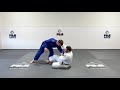 Secret Judo Skills For Jujitsu Situations - Travis Stevens Judo Techniques