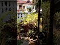 A tour of the airbnb house we rented in Chiang Mai