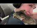 Cute Dog Can't Stop Hugging Their Human - Best Animals Show Love Videos