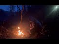 Solo camping winter in the forest | Shelter in a tent | ASMR