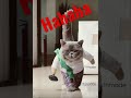 Cat amazing video // carlt funny video #youtubeshorts #viralvideo #funny_video #oneweekchallenge