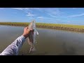 Fishing docks by San Luis Pass with live finger mullet