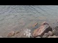 Jordon Pond, Mount Desert Island, Acadia National Park #nature #travel #acadianationalpark #acadia