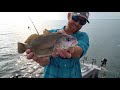 Walleye Fishing Lake Erie (CATCH & COOK) | Field Trips with Robert Field