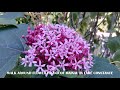 FLOWER ISLAND OF MAINAU IN LAKE CONSTANCE GERMANY