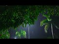 Rainy Night With Rolling Thunder In The Misty Forest - Relaxing Rain Sounds For Sleeping