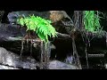 breathing exercises | waterfalls |concentration music
#focus#dream music