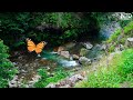 Relax Music With The Sound Of Streams Flowing | Deep Sleep Within 5 Minutes