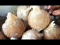 30 mins Roasted COCONUT becomes a Health Remedy! Hot Coconut Cutting Skill | Thailand Street Food