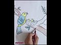 How to Draw Mother Bird feeding baby