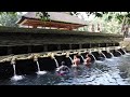 Bali island Watertemple Tirta Empul Tampak Siring Holy water