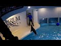 Aquarium sea lion show 2012