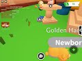 I can't believe I got a golden hamster!