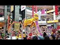 High Poles LION DANCE Performance in Sydney AUSTRALIA