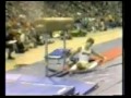 Ouch!  Brian Meeker Runs into the Vault Pommel Horse!
