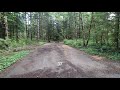 Coho Campground - Olympic National Forest, WA