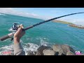 Hi Sydney Wollongong windang rock fishing