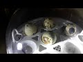 Quail Eggs Rocking