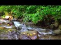 Soft Piano Music with River Sounds in Forest - Peaceful Sleep Music, Relaxing Music, Meditation, Spa