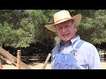 SPCRR Golden Spike at Ardenwood Historic Farm