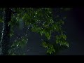 ASMR Rain Sounds For SleepingㅣRain and Thunderstorm Sounds for Sleep, Study and Relax at Night