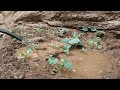 Living in the Jungle: Building a hut in a cave shelter