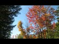 Oct, 6  2022, Vermont Fall foliage