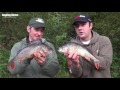 How To Catch Perch - Perch Fishing Tips