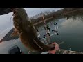 Winter Catfishing Near the Guntersville Dam on the Tennessee River/Wheeler Lake Caught a 50lb Beast