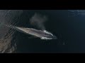 Blue Whales Can eat upwards of 20 Tons in 24hrs!