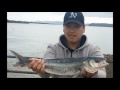 NZ Basic Fishing | Tutorial | How to catch Kahawai