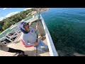 Hi king Fish in Bonito Sydney Mosman but king fish but?? You see please subscribe my channel please